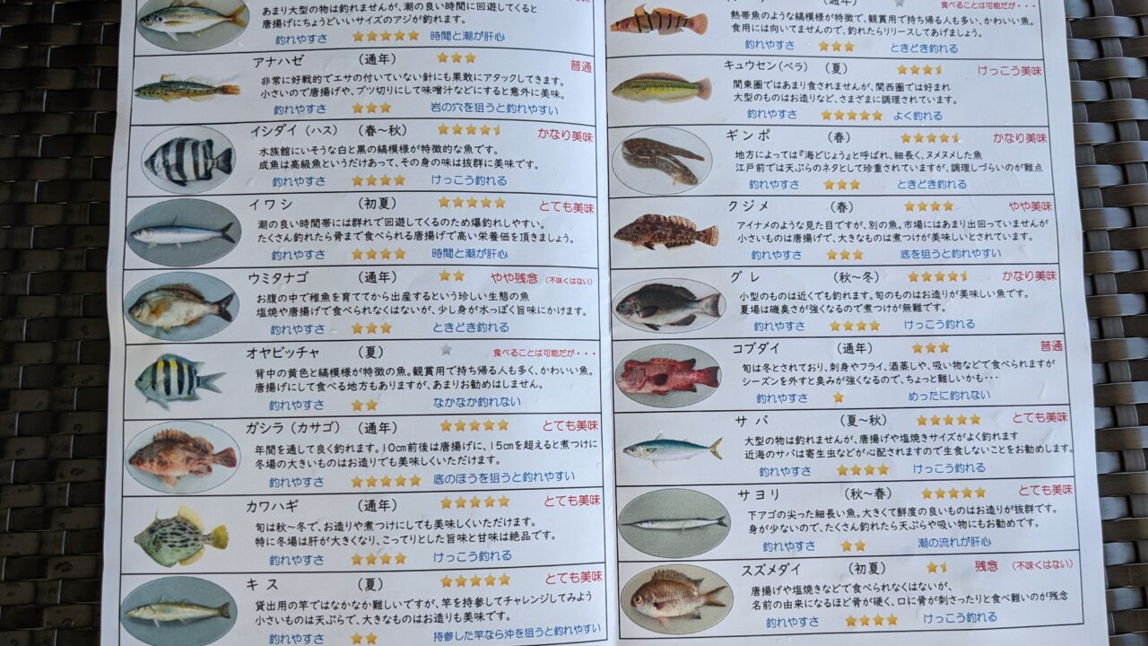釣れるお魚リスト